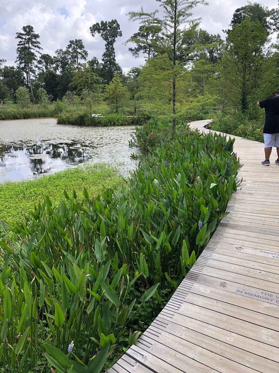 Houston Arboretum & Nature Center