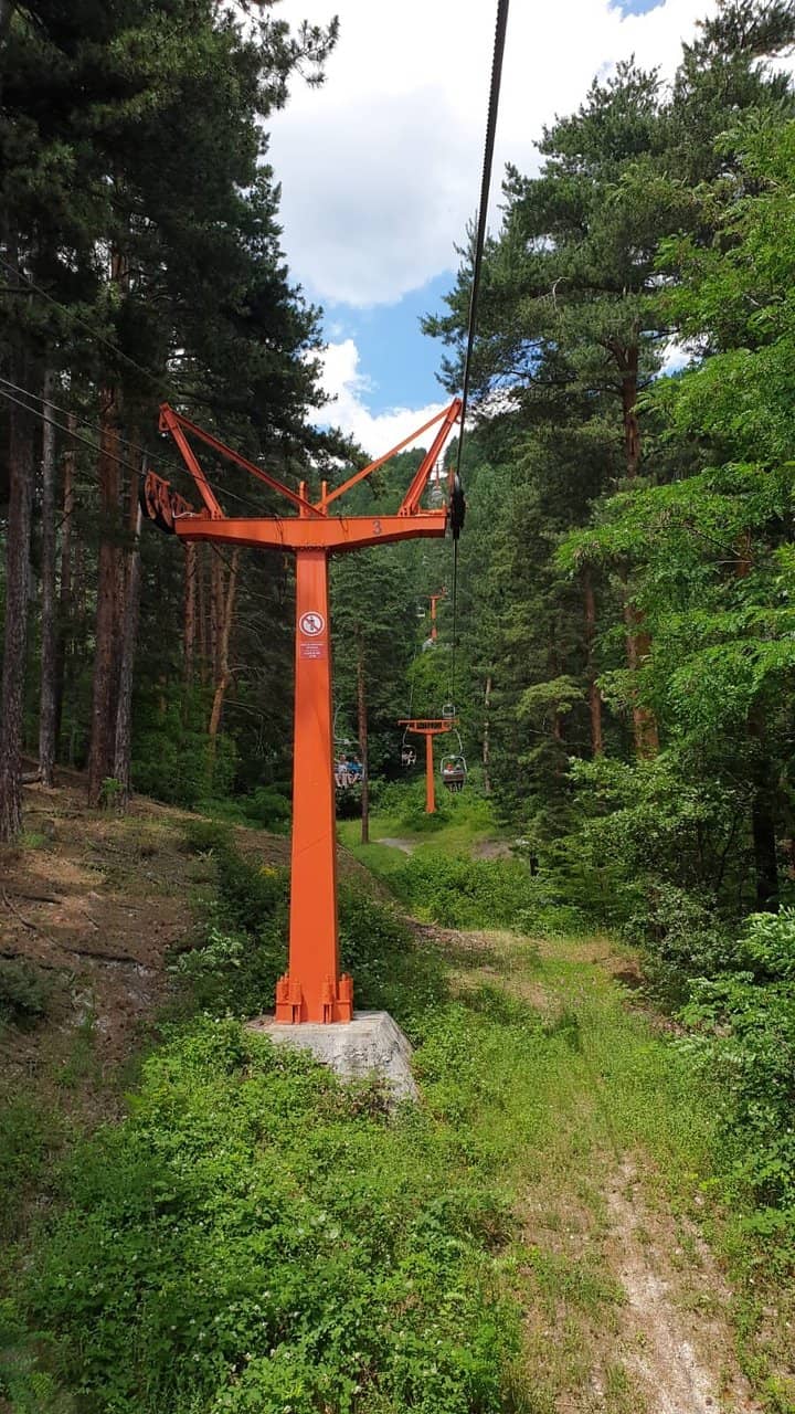 Diverse Wildlife Spotting