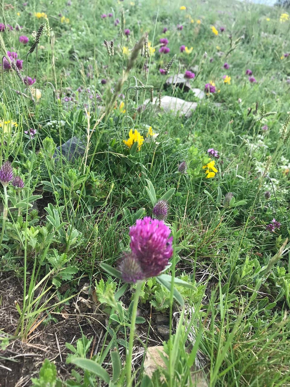 Ray Hut & Waterfalls