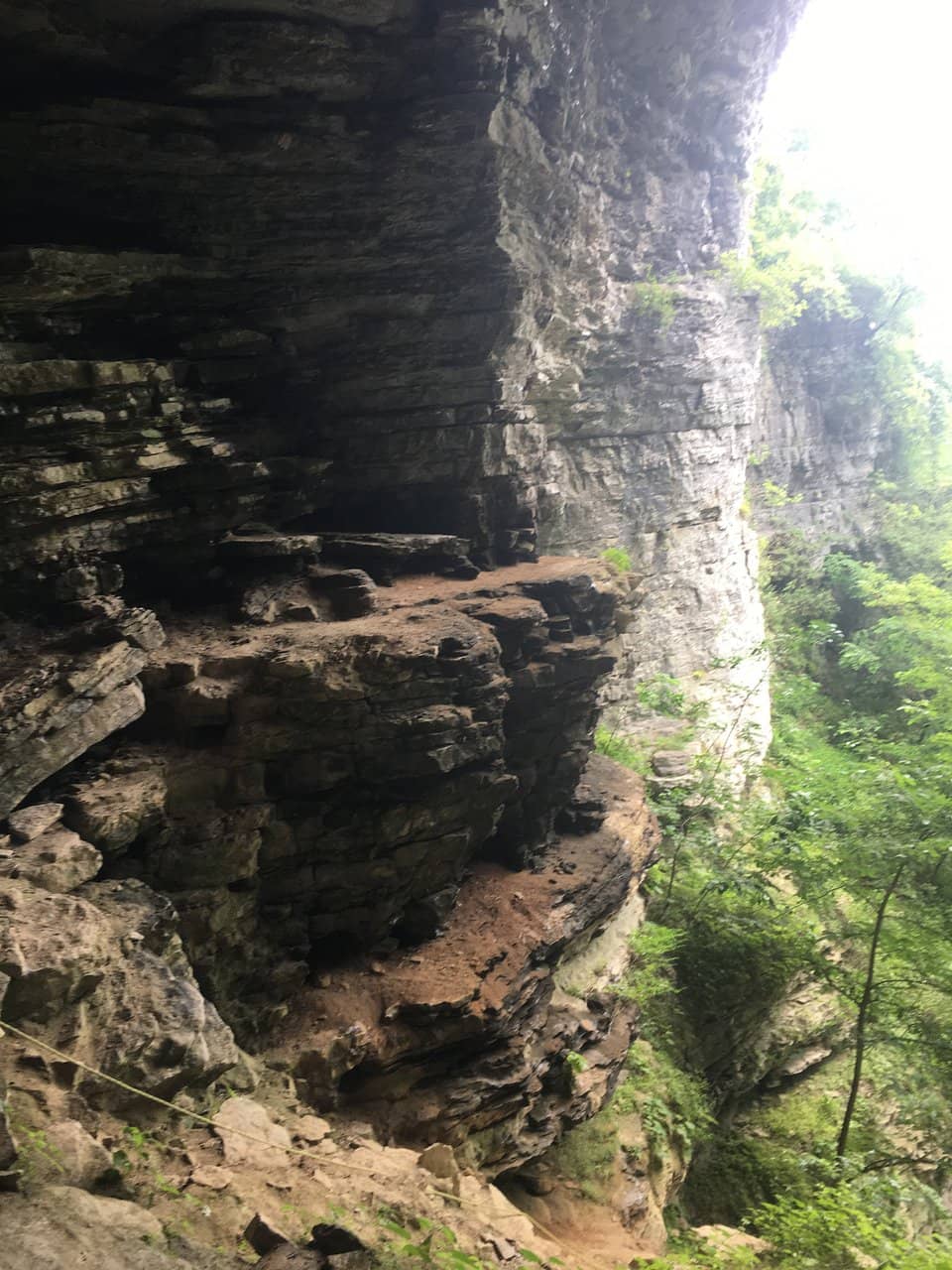 Vertical photo