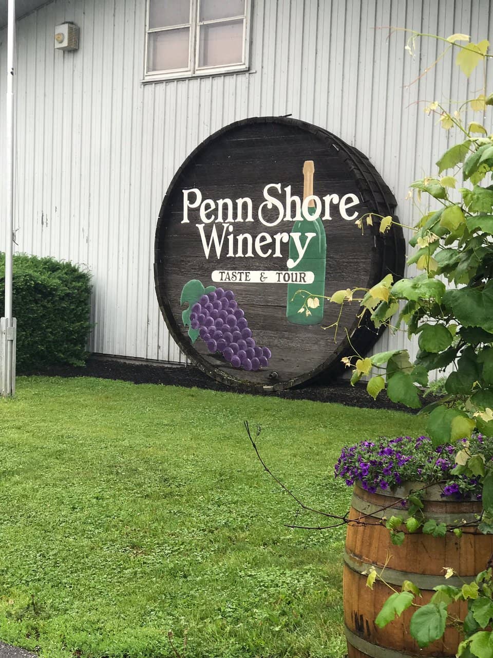 Outdoor Tasting Area