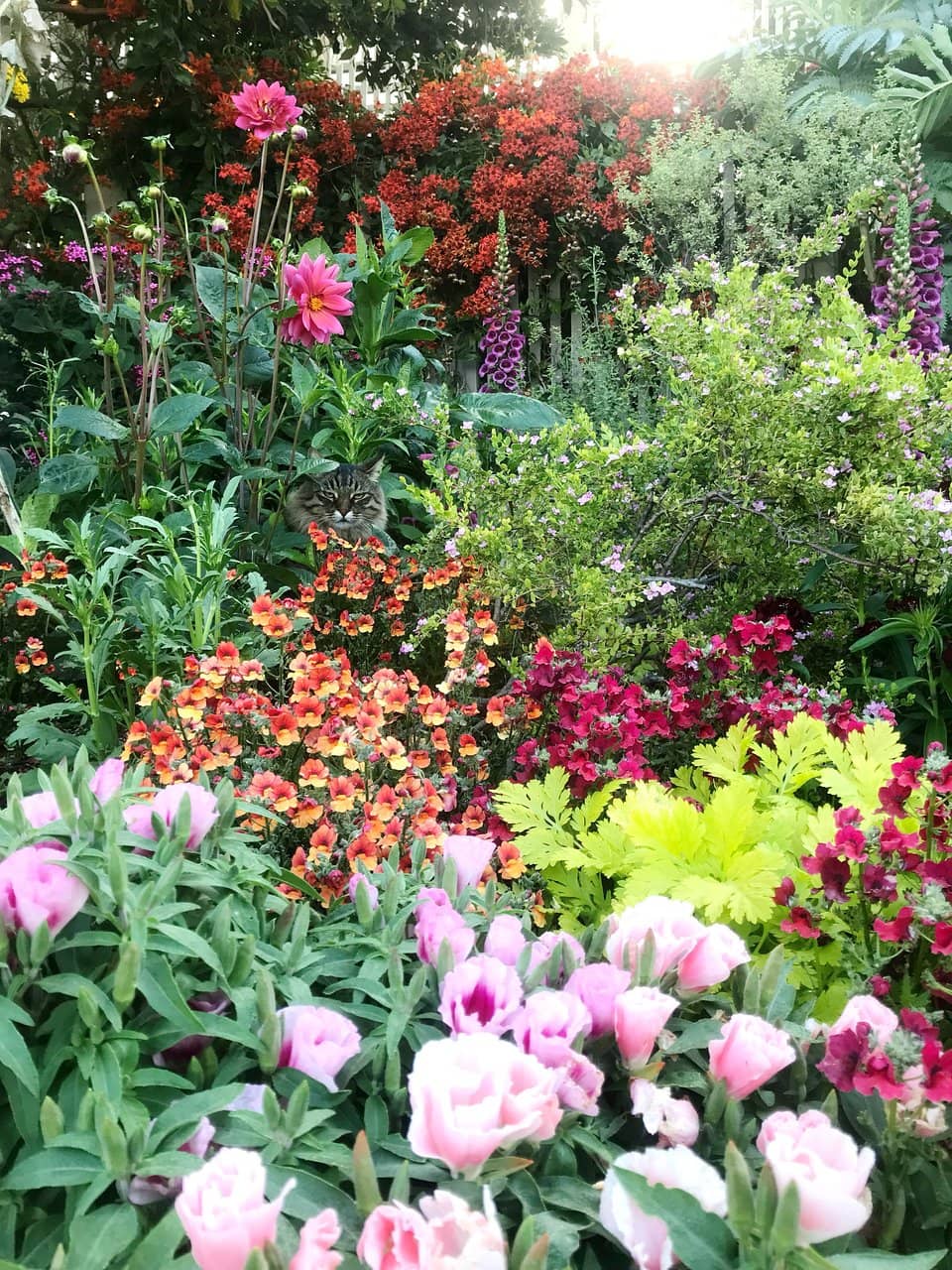 Tropical Conservatory