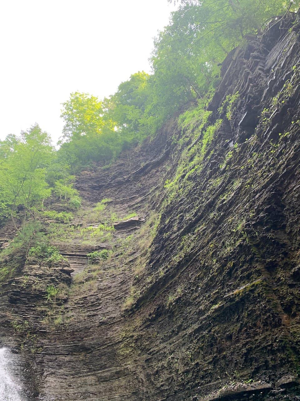Vertical photo