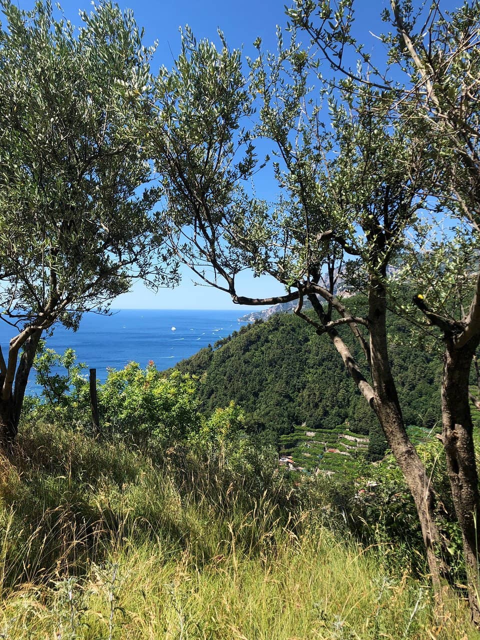 Restored Gardens & Animals