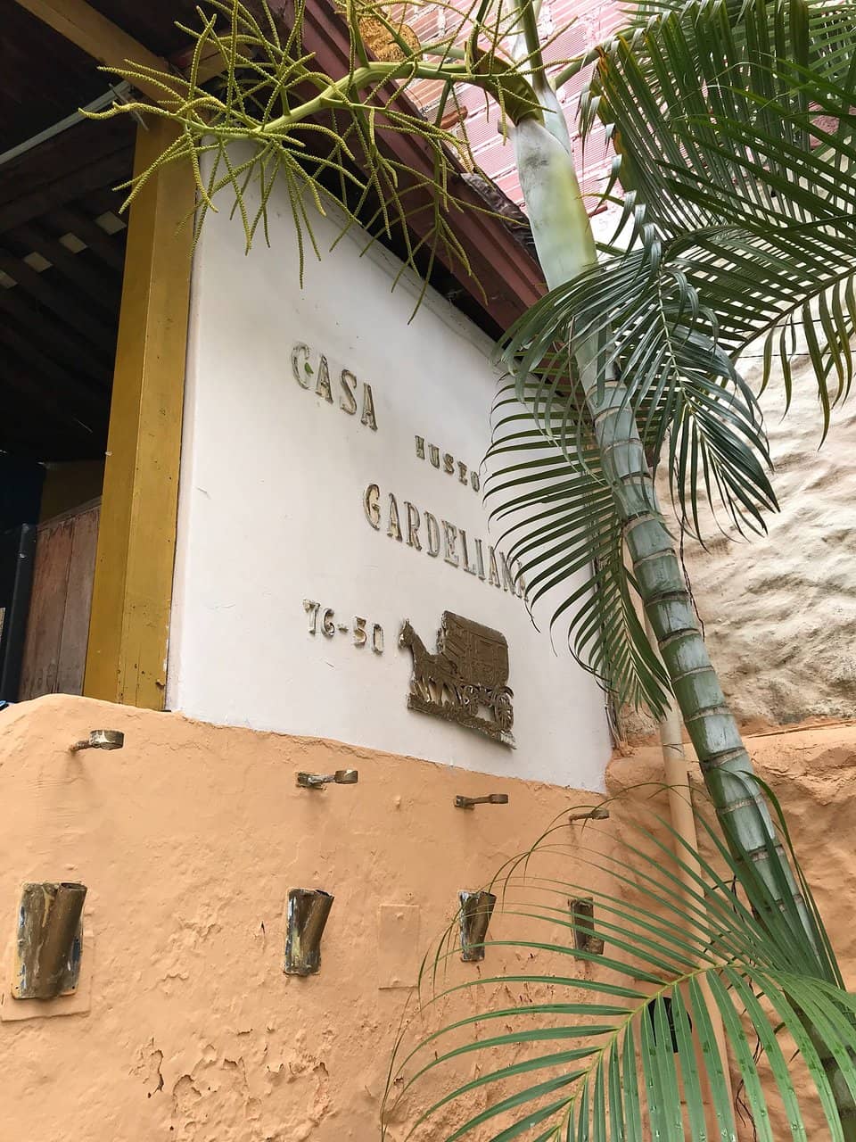 Live Tango Performances