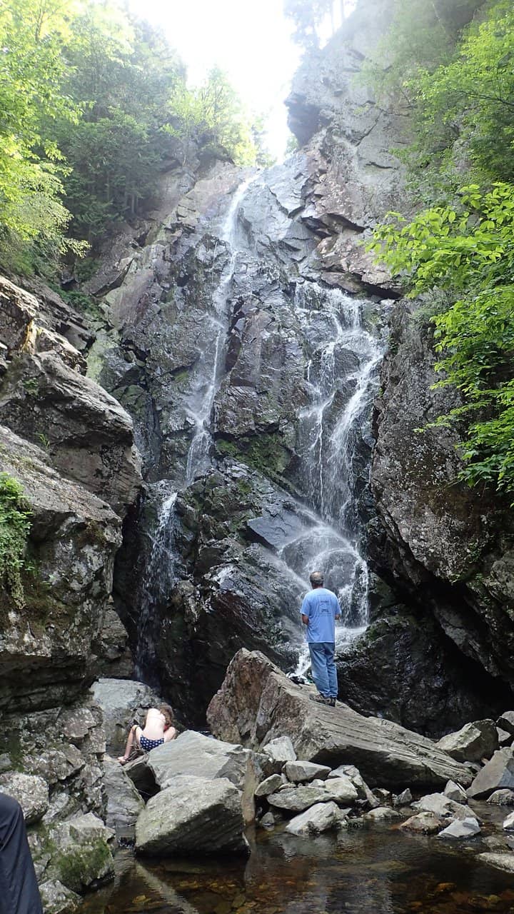Natural Pool Dip