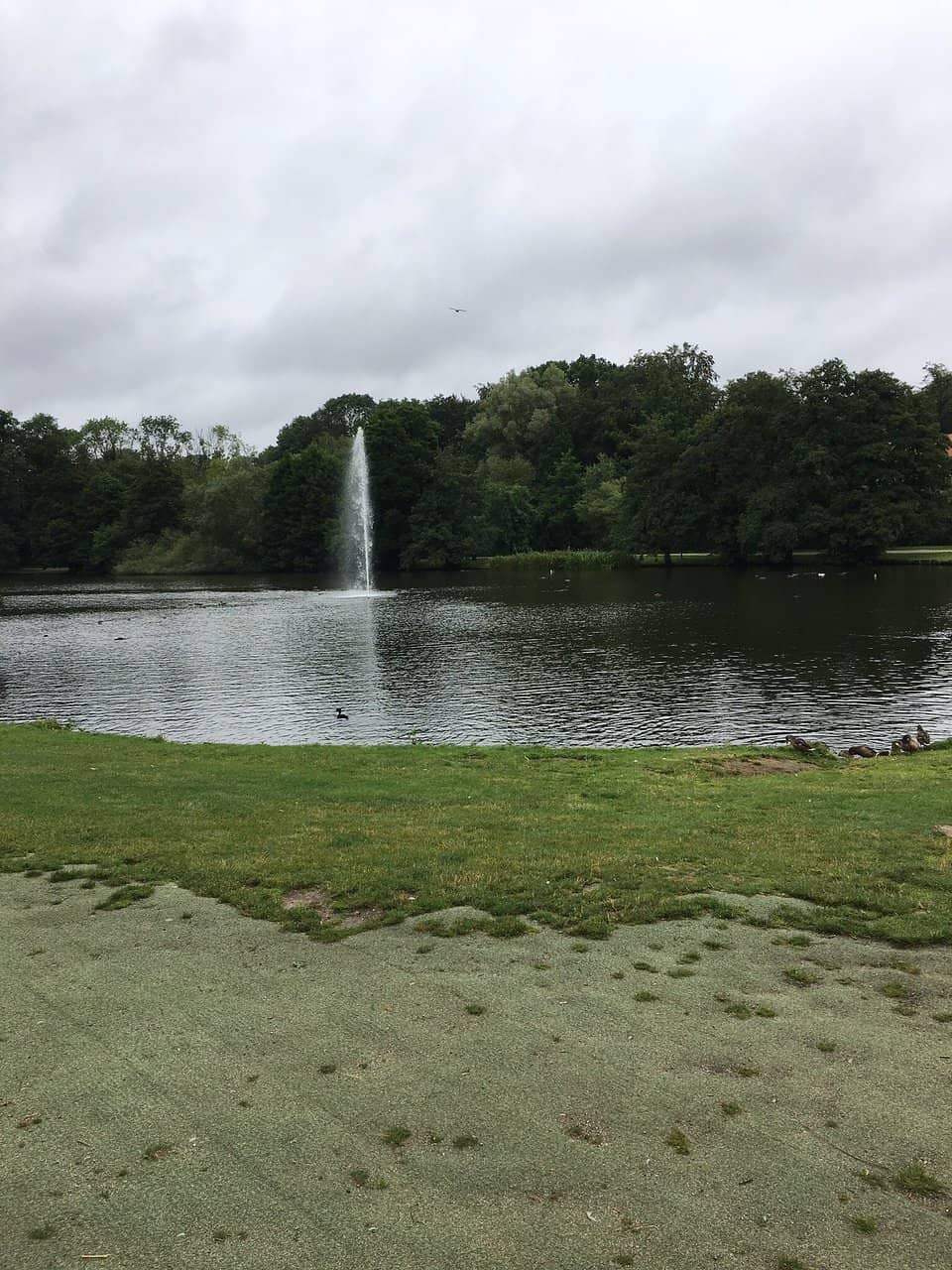 Playgrounds & Fitness Areas