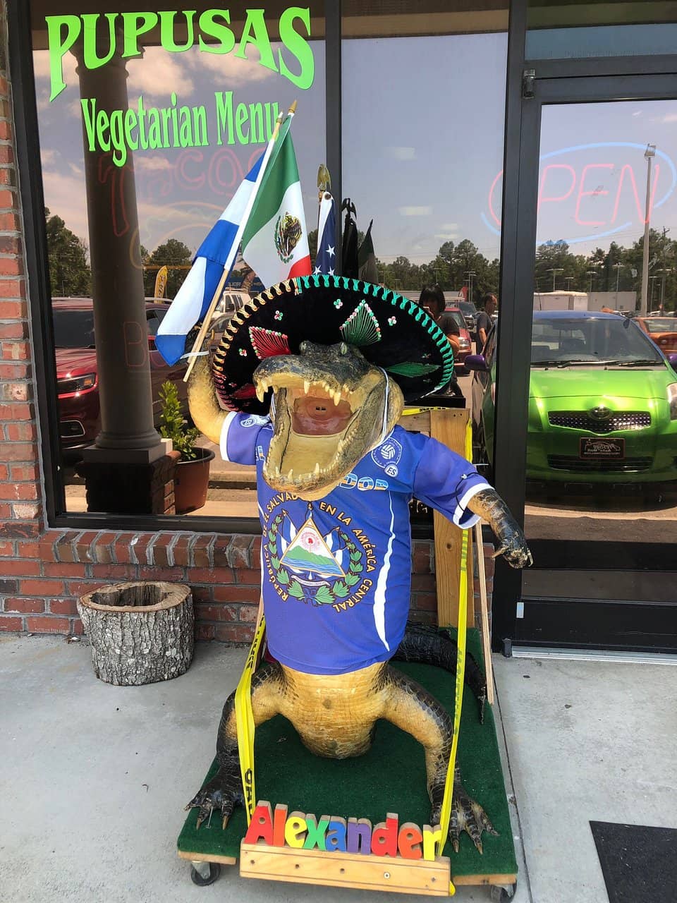 Surprising and Flavorful Dishes