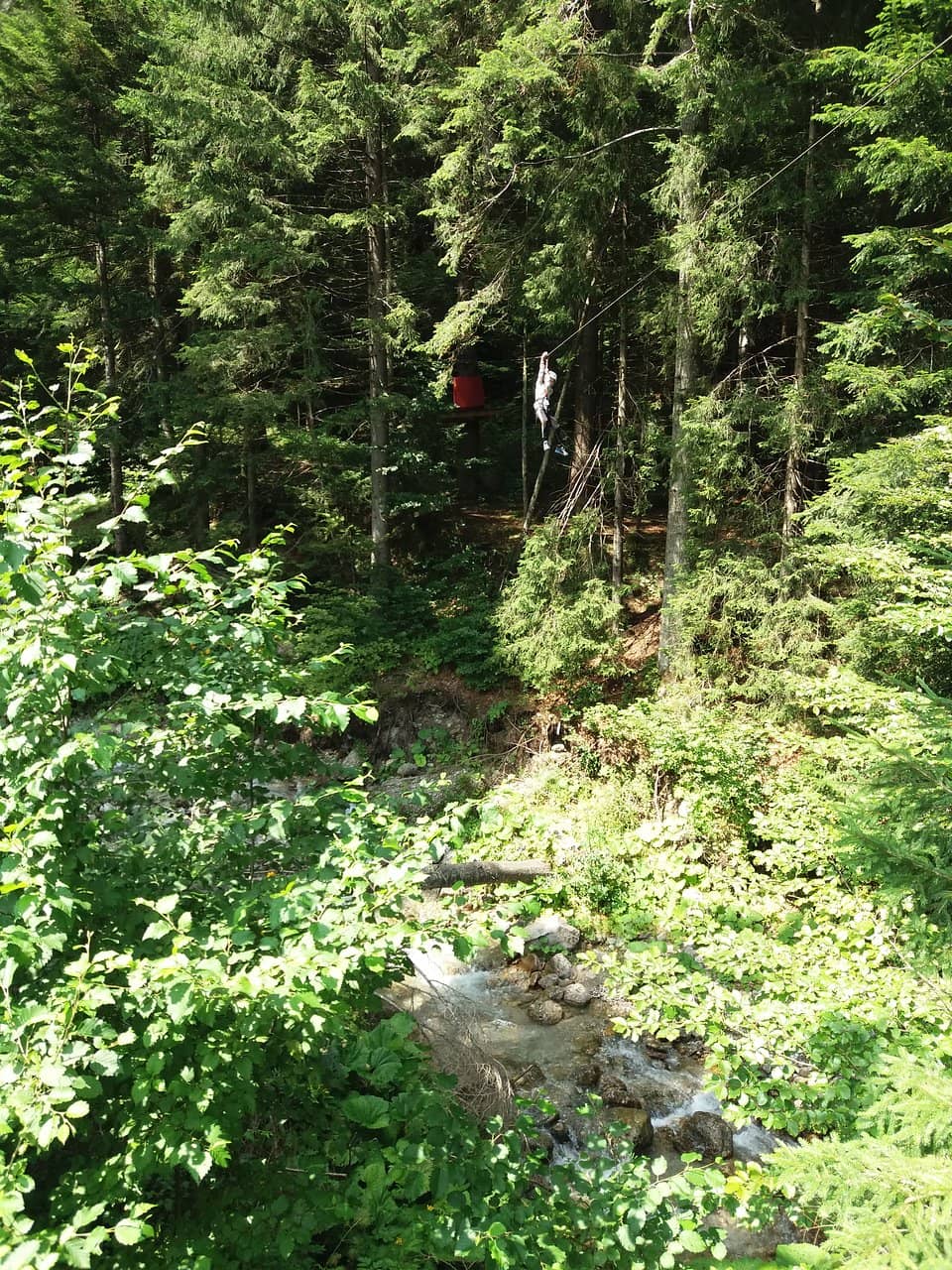 Scenic Mountain Views