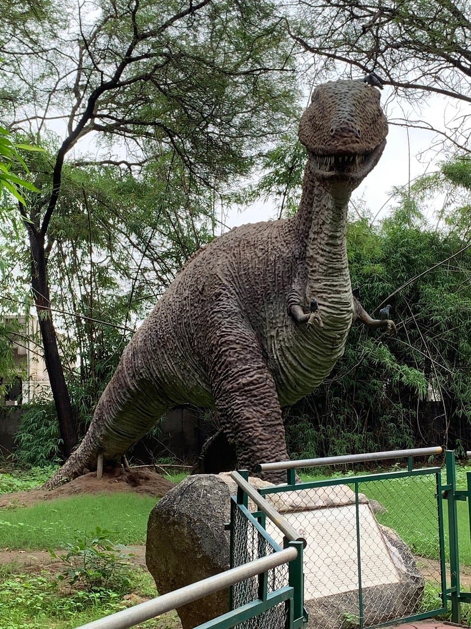 Indroda Nature Park Dinosaur & Fossil Park