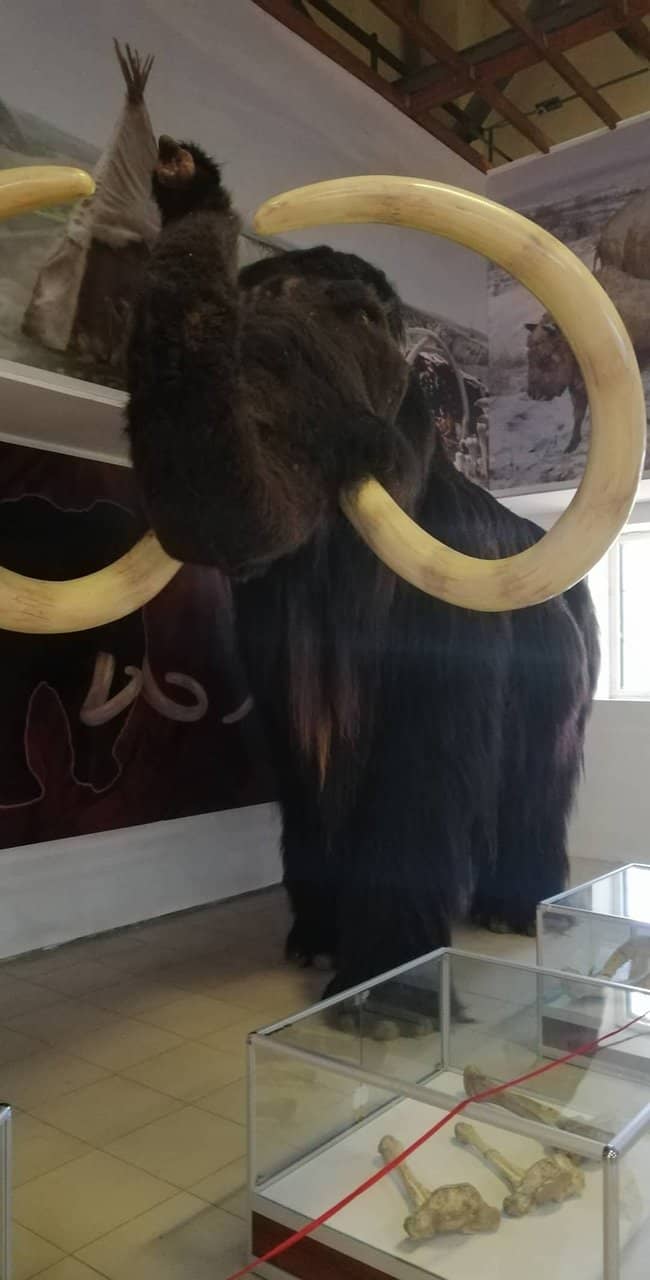 Excavation Site Museum