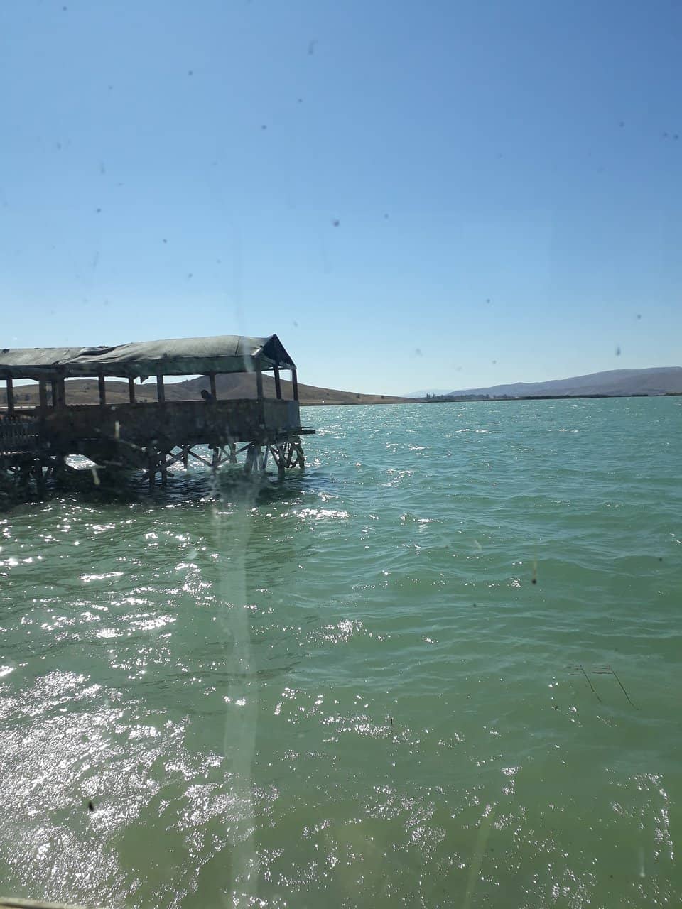 Bird Observation House