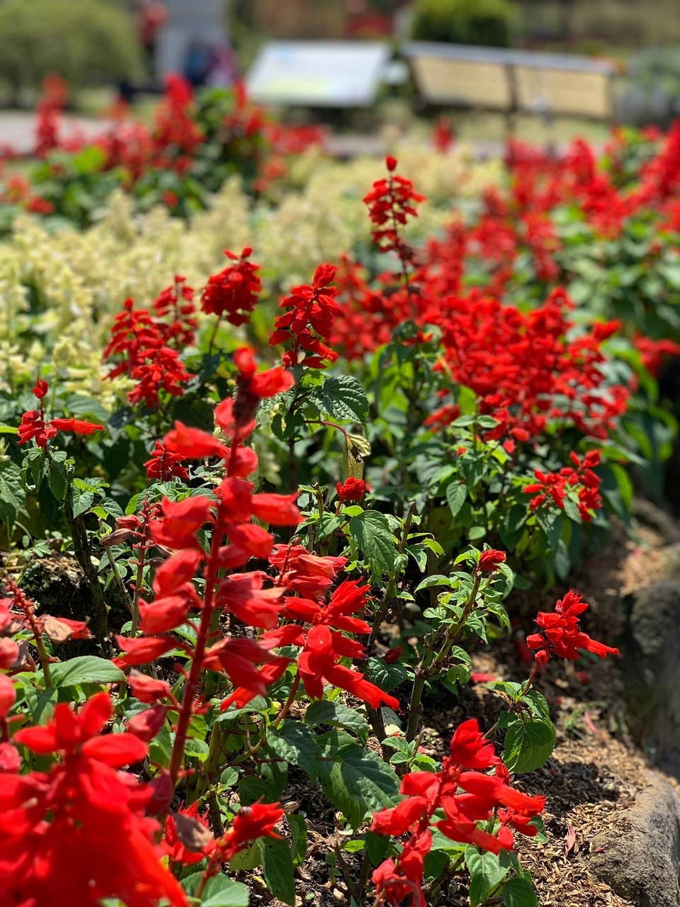 Kids Waterpark Splash