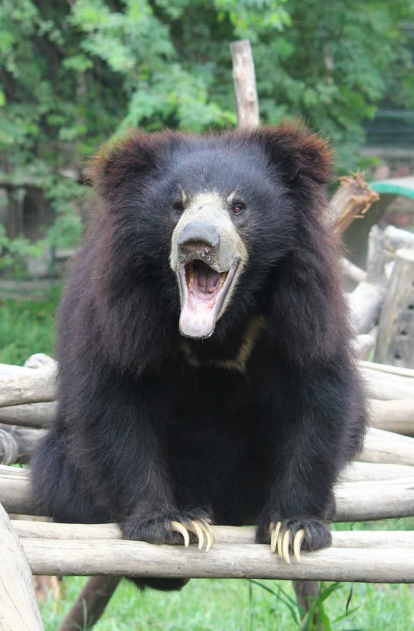 Conservation Education