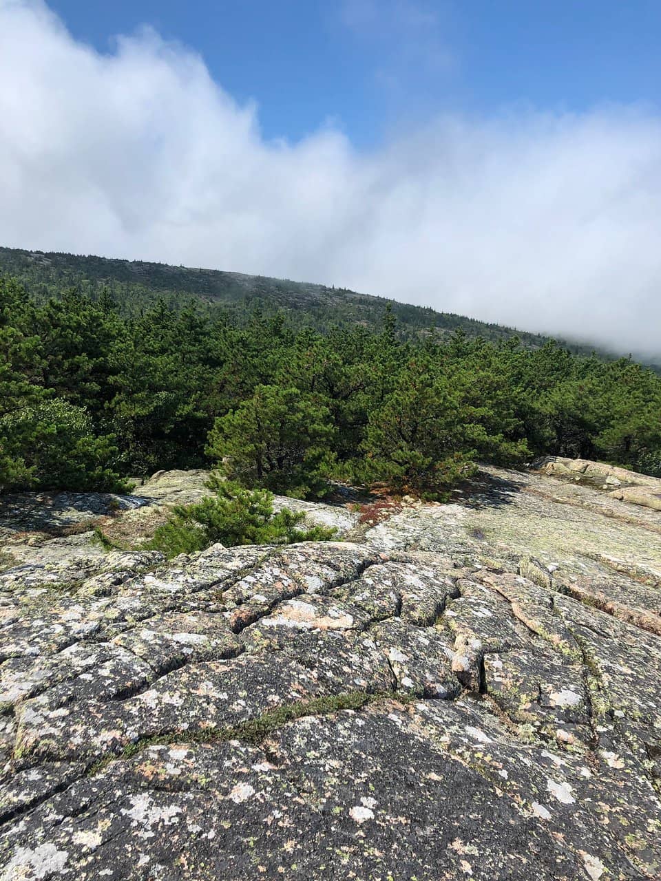 The Ladder Trail