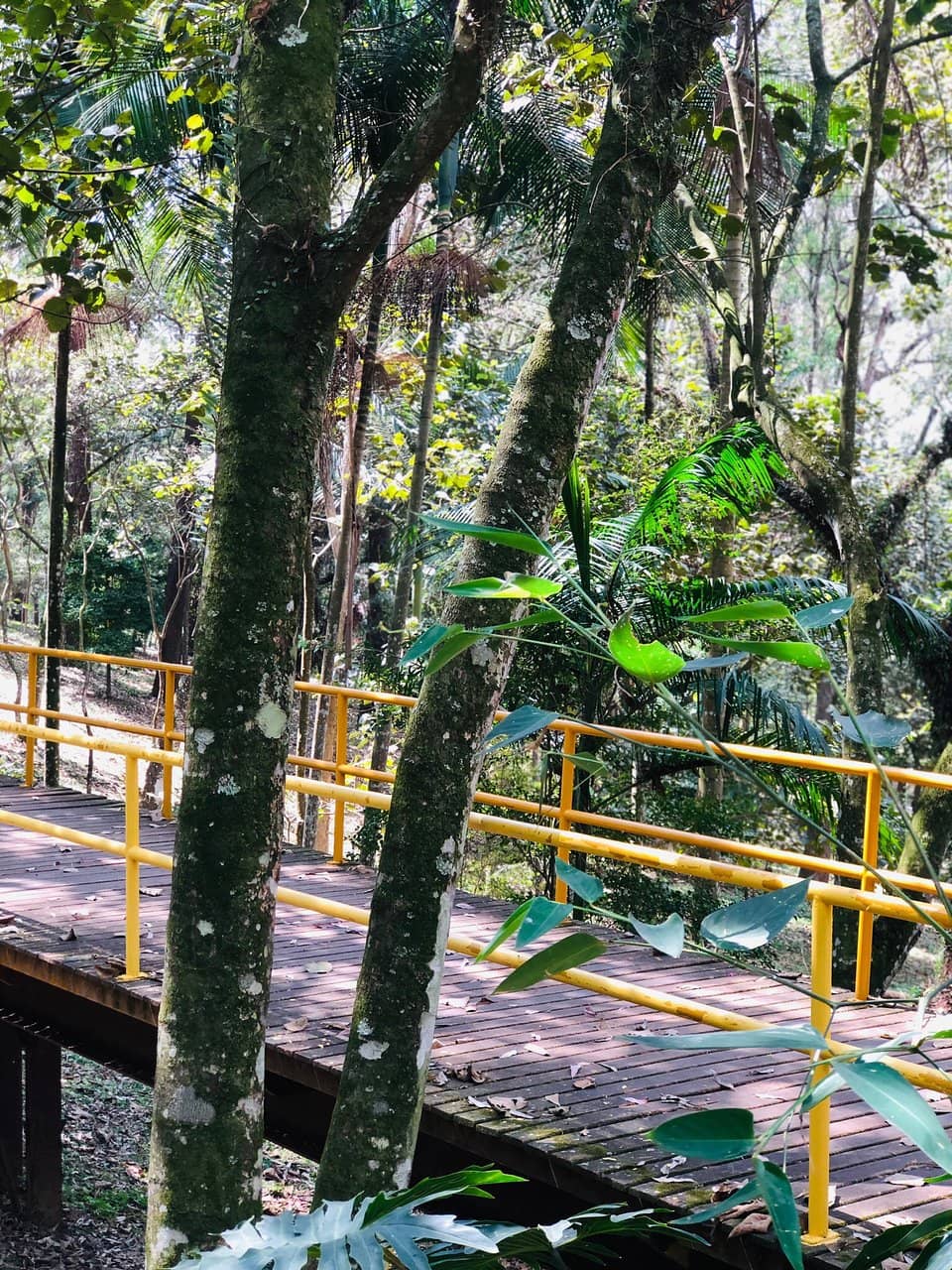 Family Picnic Spots