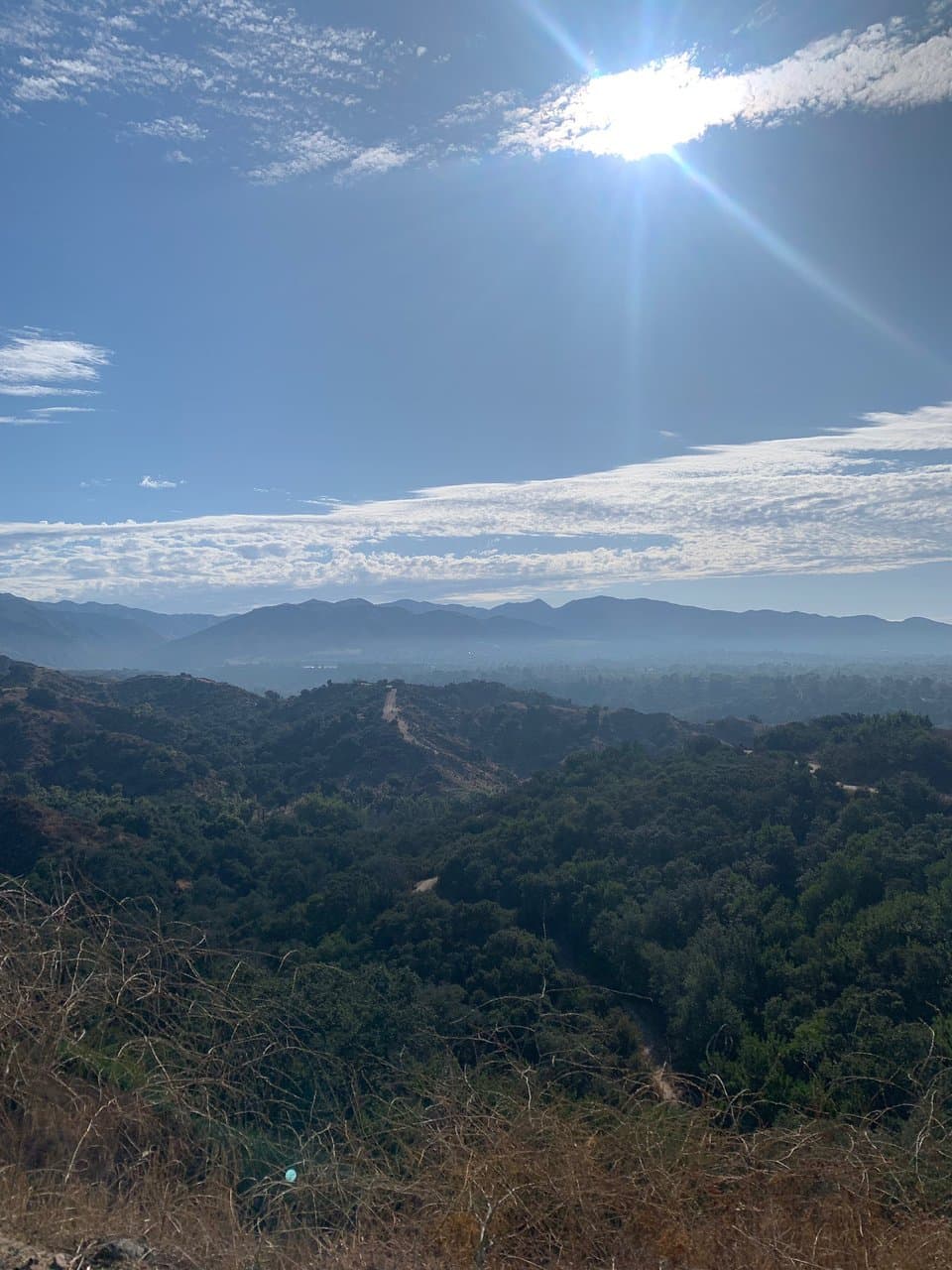 Sunday morning hike!