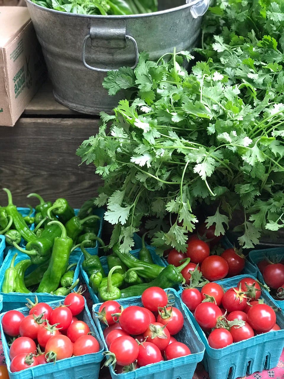 Bozeman Farmers' Market Lindley Park