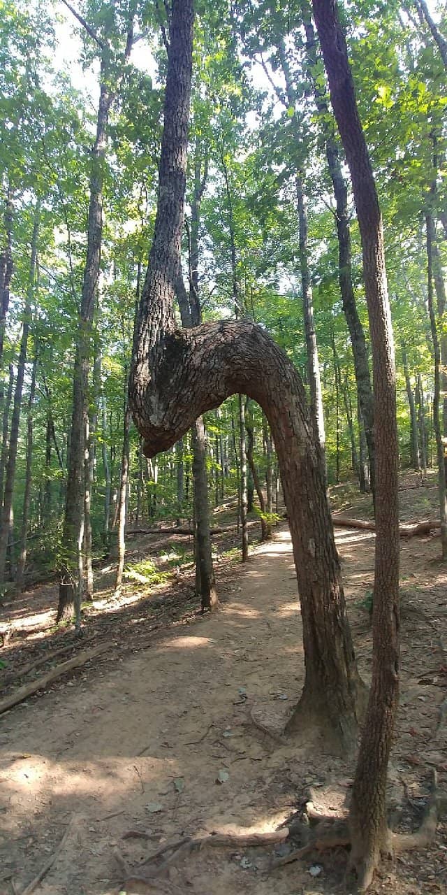 Vertical photo