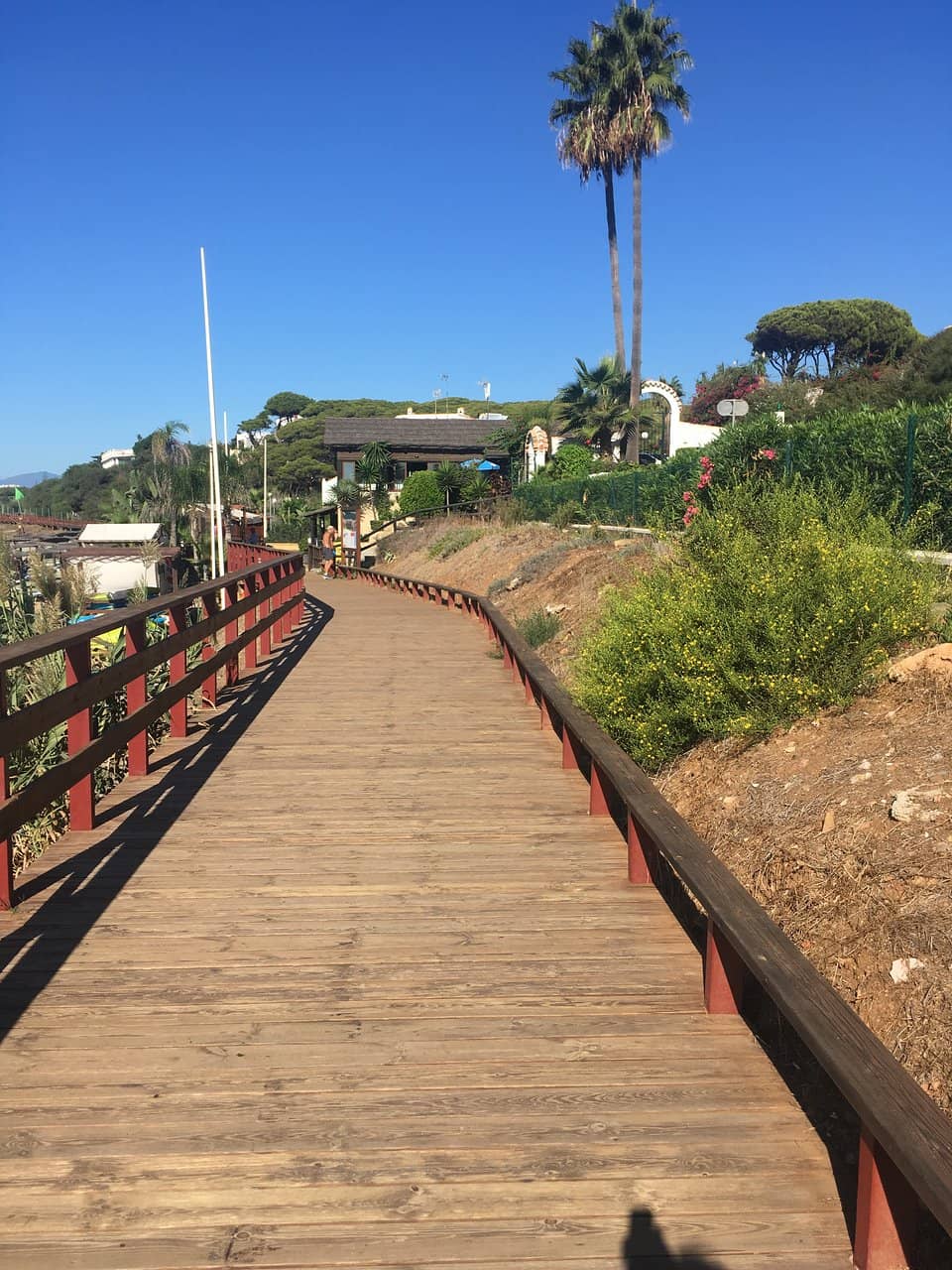 Vertical photo