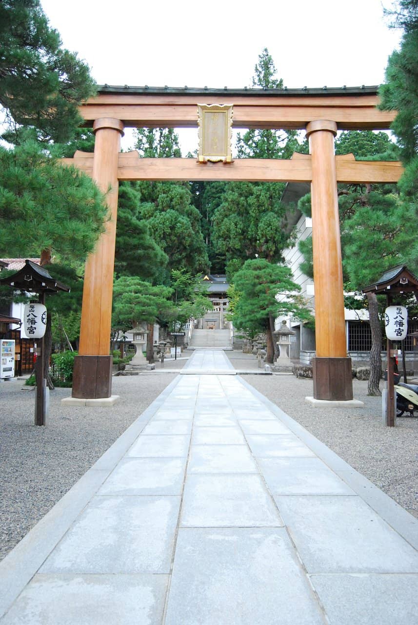 Vertical photo