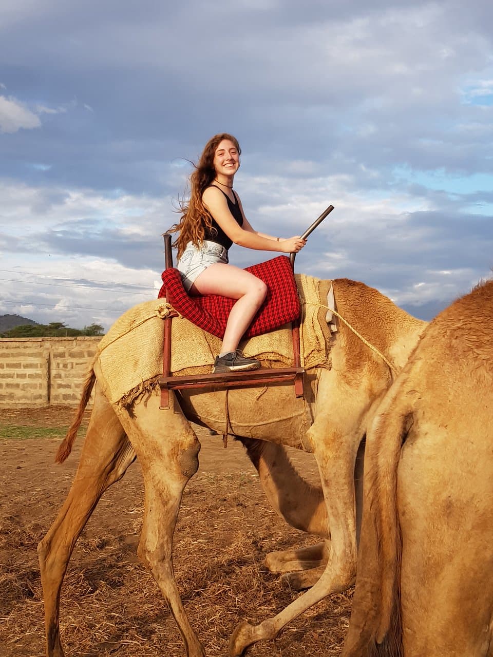 camel free tour in Arusha