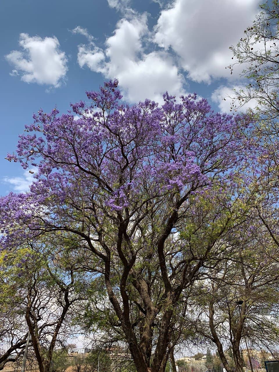 Architectural Surroundings