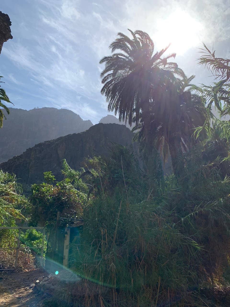 Visitor Center & Museum