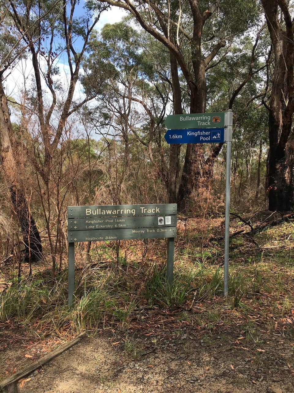 Karloo Loop Track