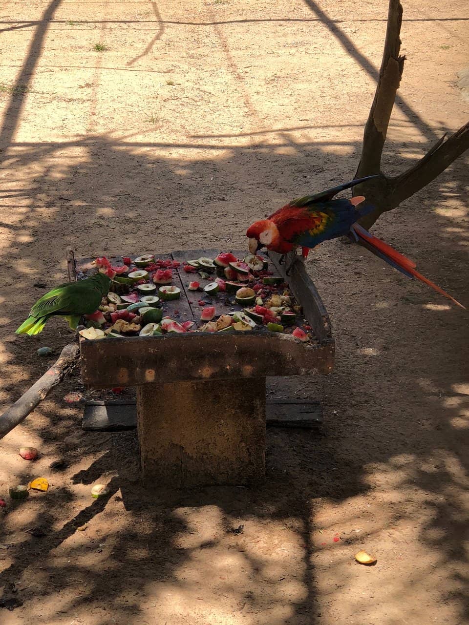 Family-Friendly Bicycle Paths