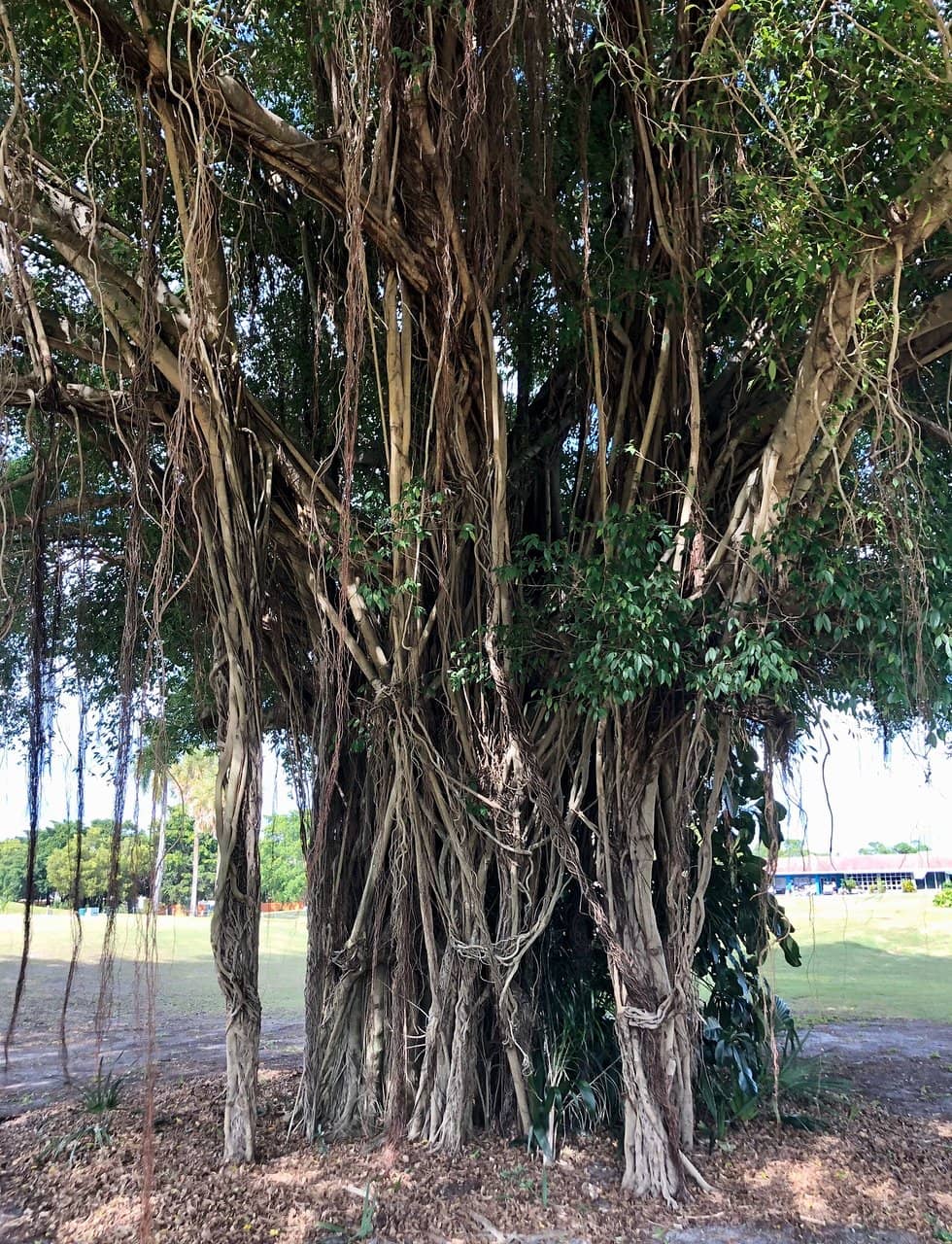 Palm Aire Country Club Lifestyle