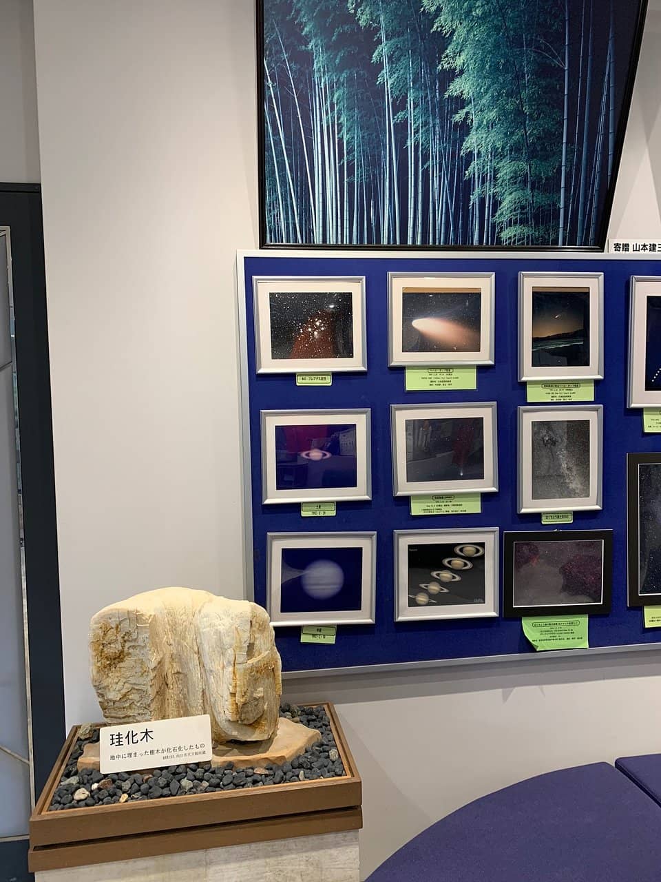 Gigantic Telescope Viewing