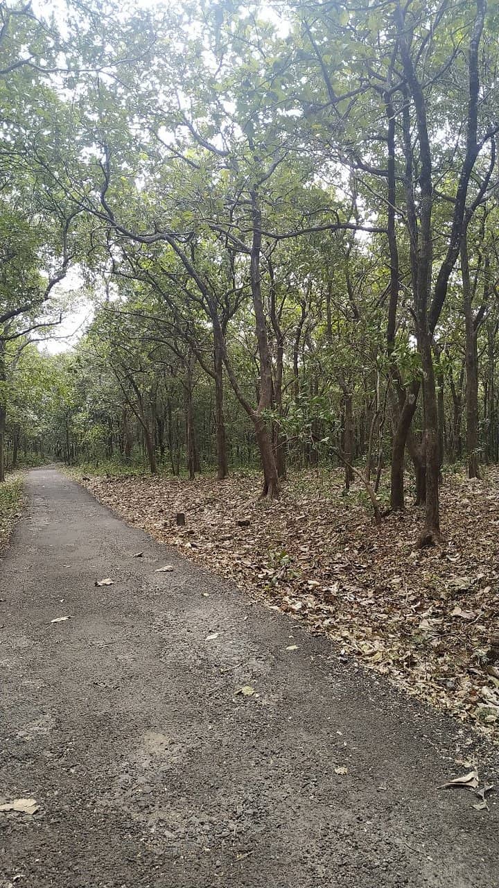 Biodiversity Hotspot