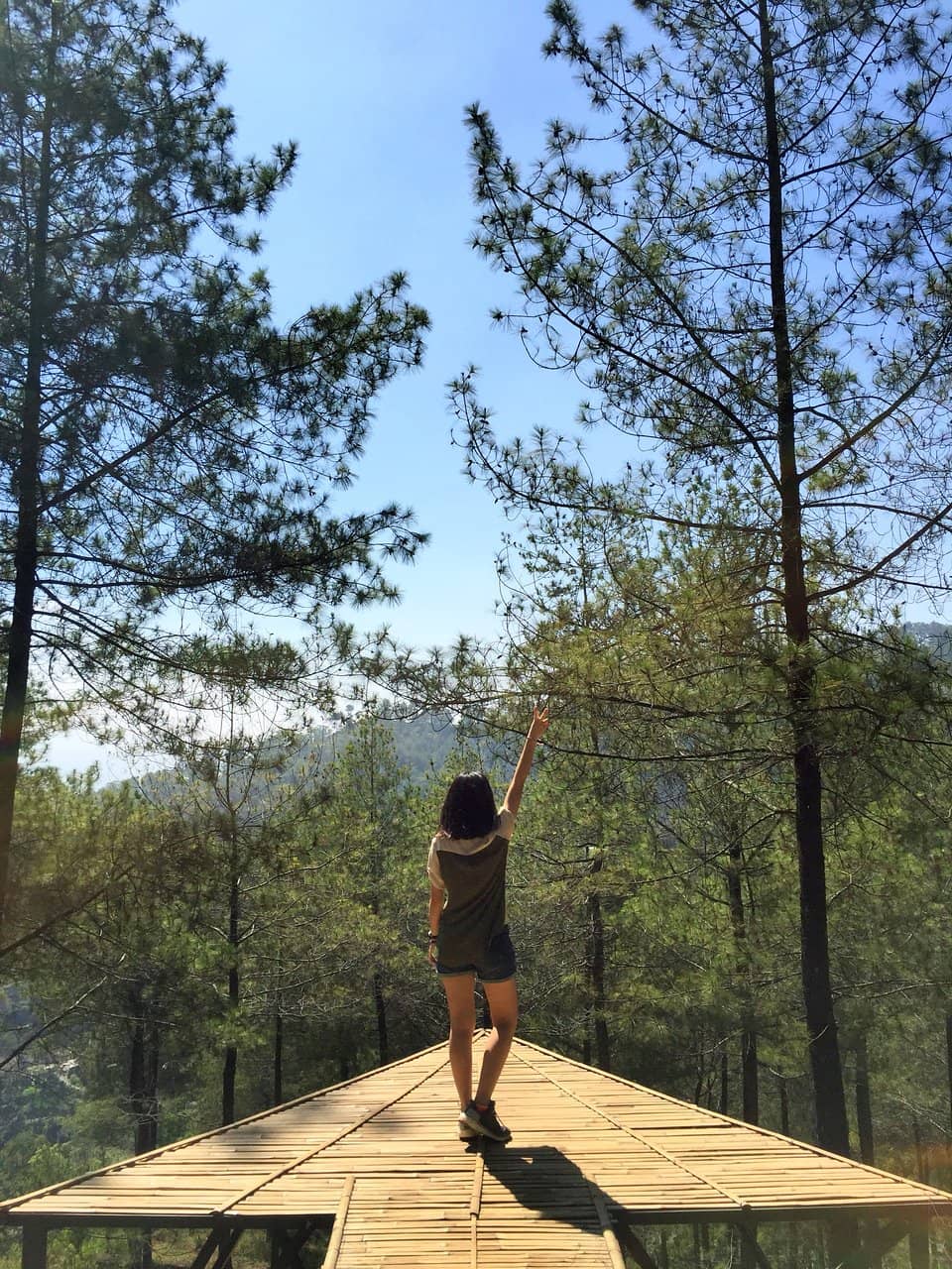 Valley Views