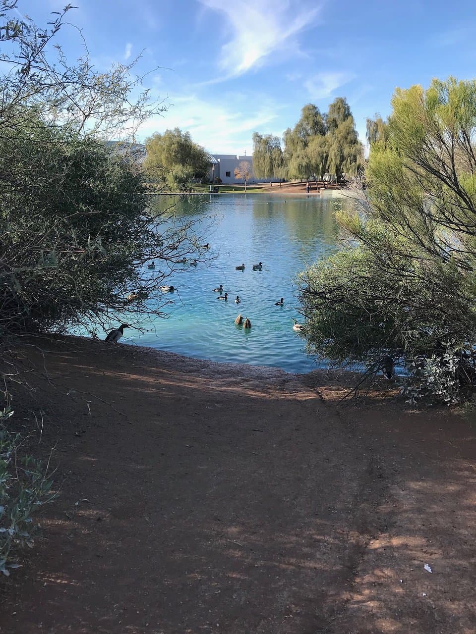 Riparian Preserve at Water Ranch