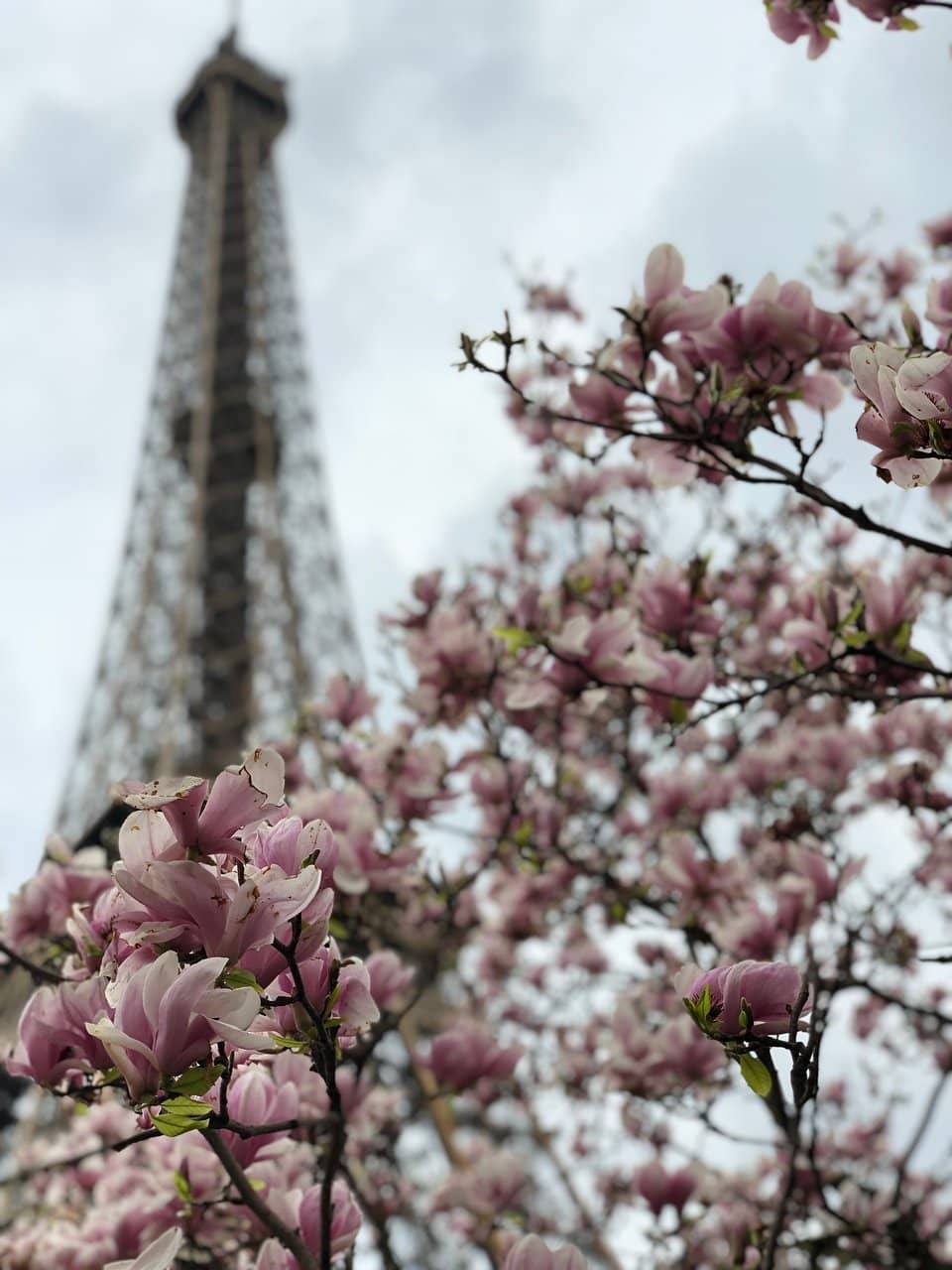 Nighttime Illumination Spectacle
