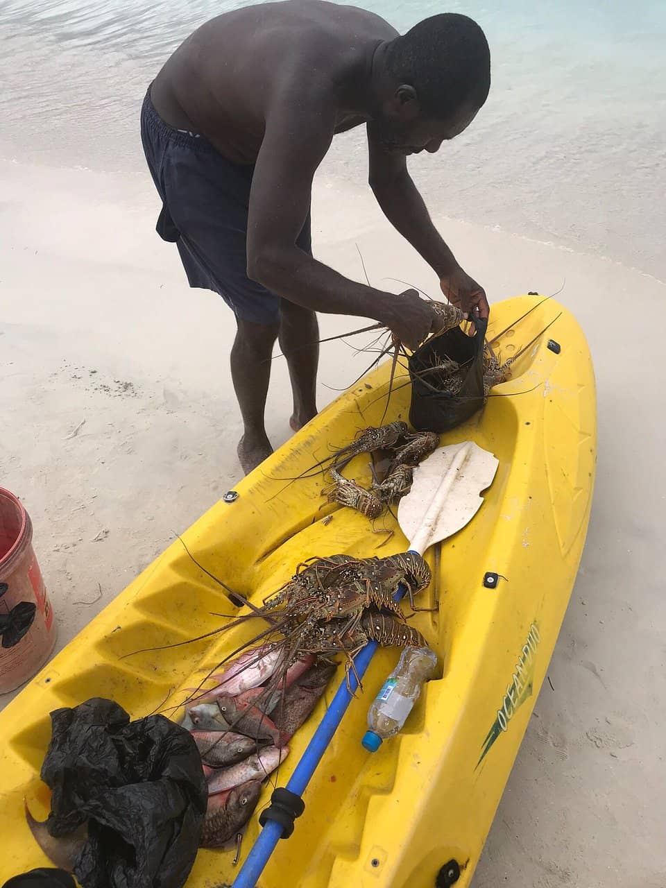 Water Sports & Activities