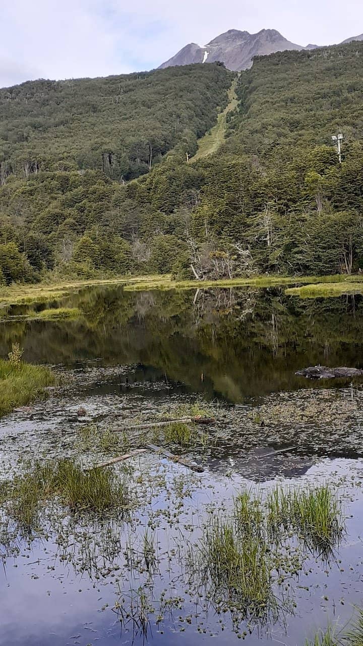 Natural Ice Skating Rink