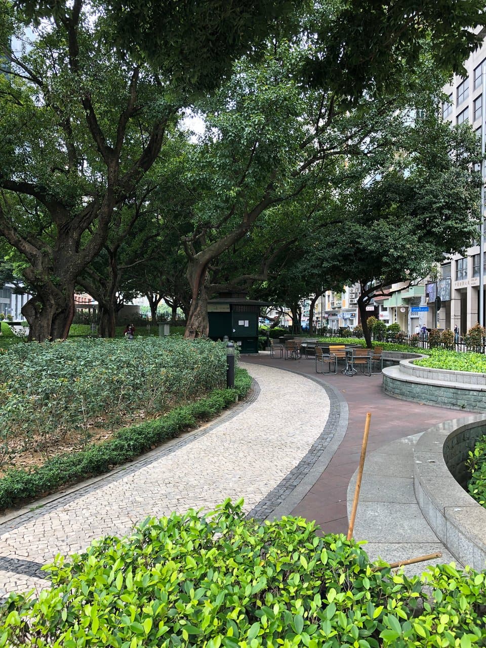 Praca de Jorge Alvares - tall trees