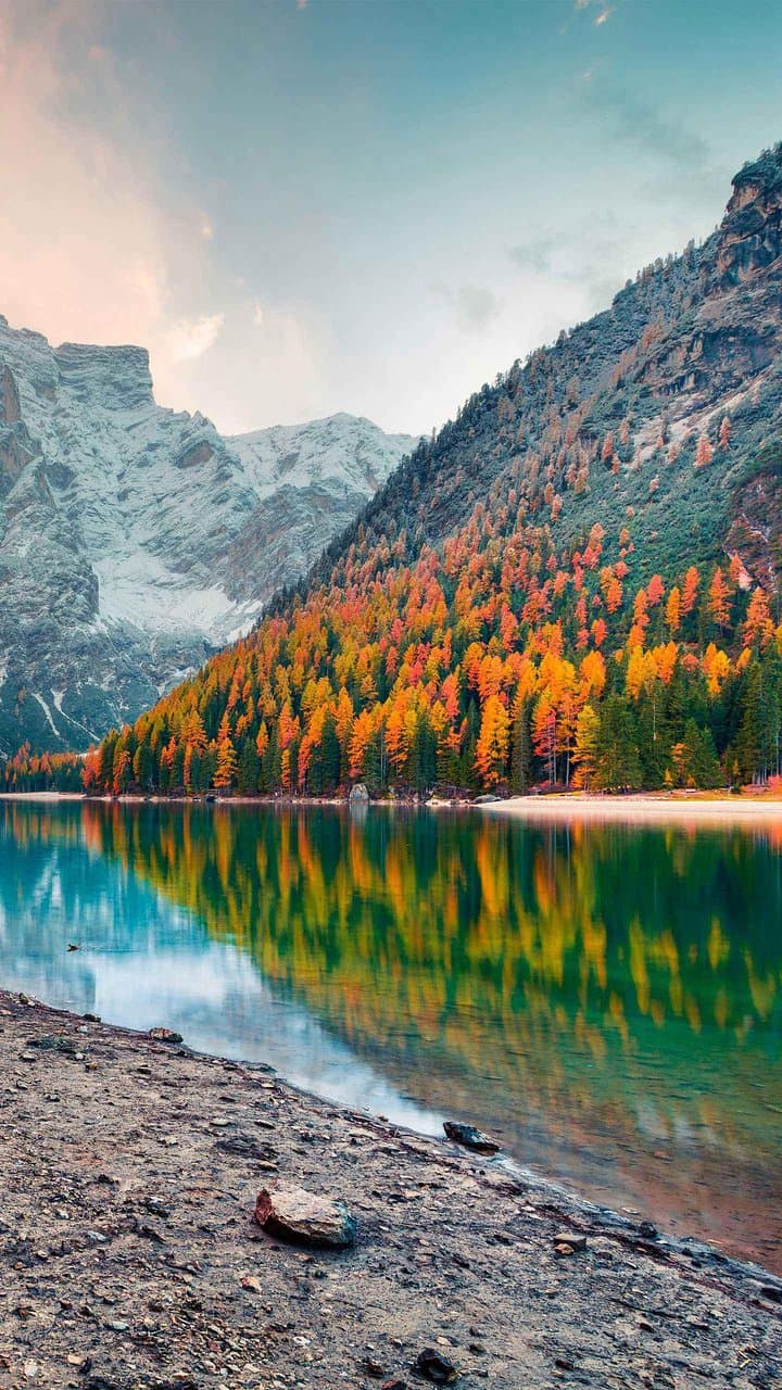 Google Android Lawn Statues