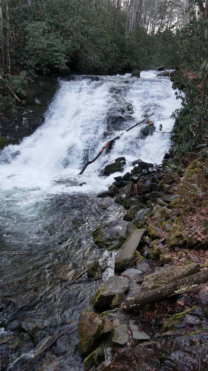 Creek-Side Walk