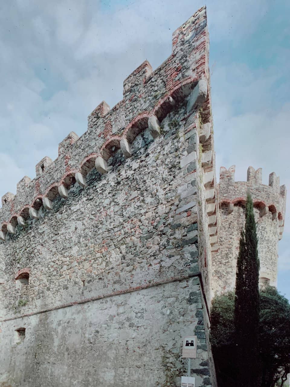Vertical photo