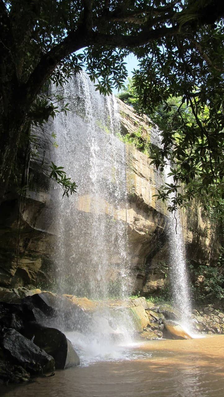 Wildlife Spotting Opportunities