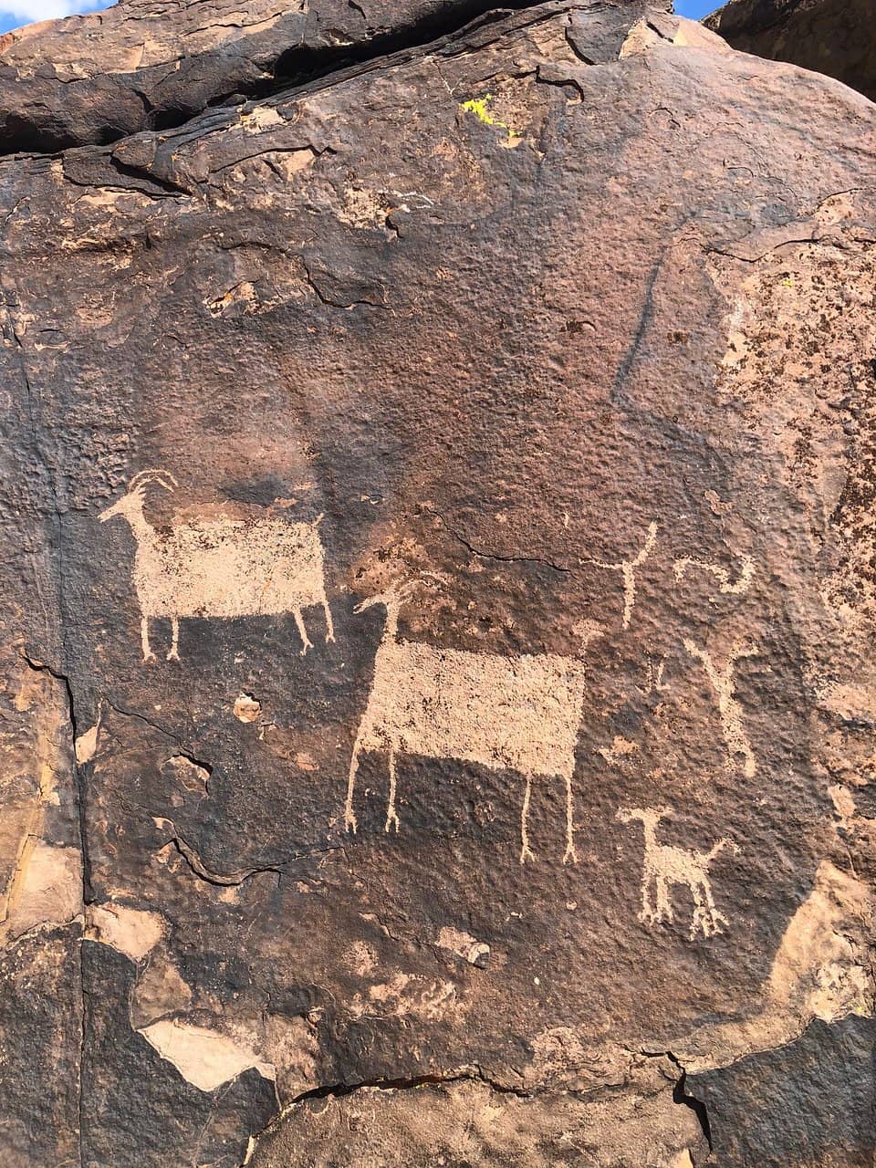 Ancient Petroglyphs