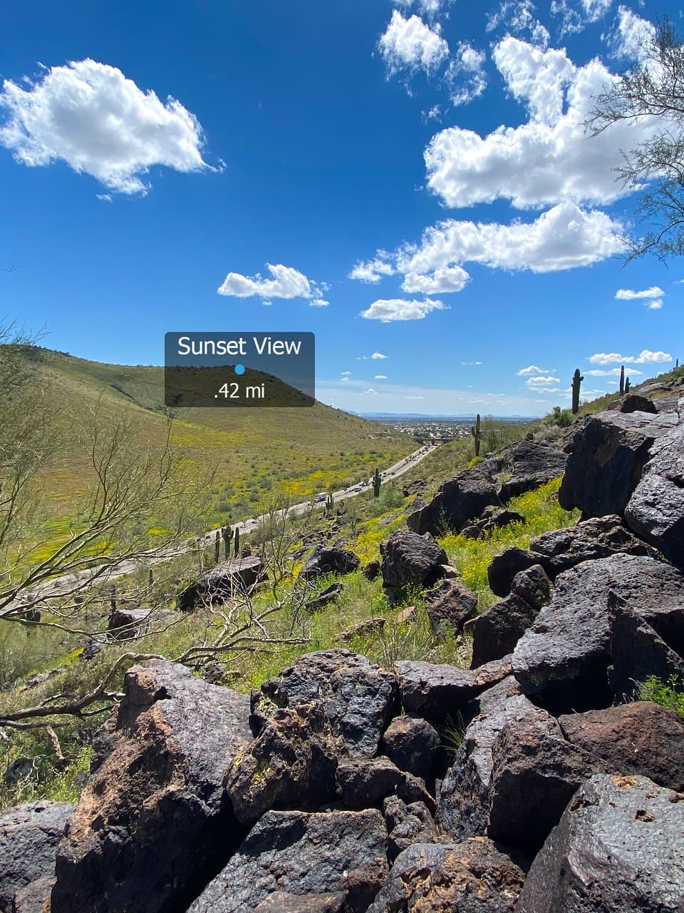 A view from the Avem app looking from the northern part of Coach Whip trail south to Arrowhead Point trail. This was is late March, so peak wildflower season!
