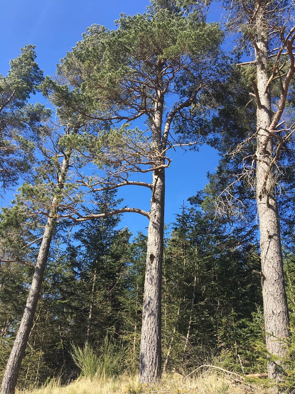 Nearby Ancient Sites