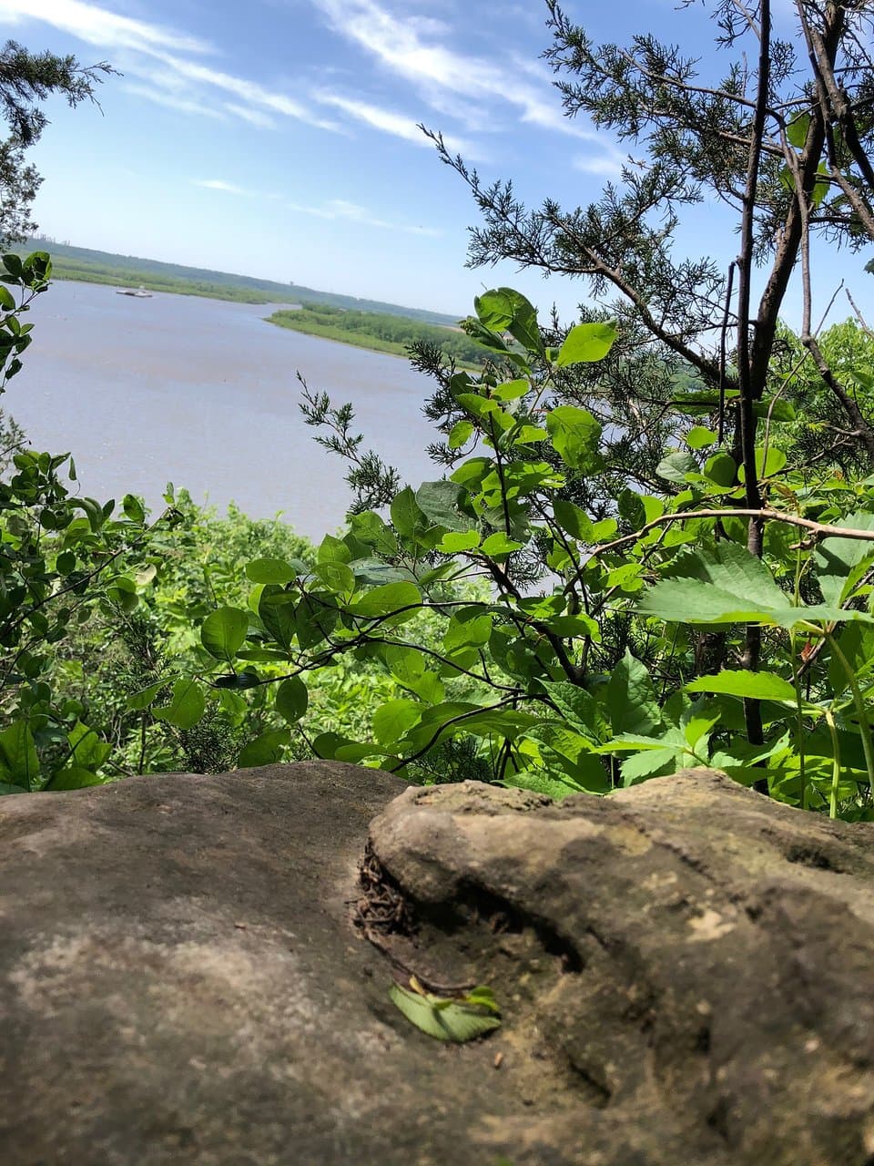 Great Park to do some hiking and get great views of the Mississippi River. There are paved trails, wide well established dirt/grass trails, and smaller dirt trails that will lead you to the edges of some edges of the cliffs. Careful if you have little ones! :) The trails we went on weren’t real difficult, but some terrain and steepish areas to get down to the edges. Great day with lots of Eagle and turkey vulture sitings.