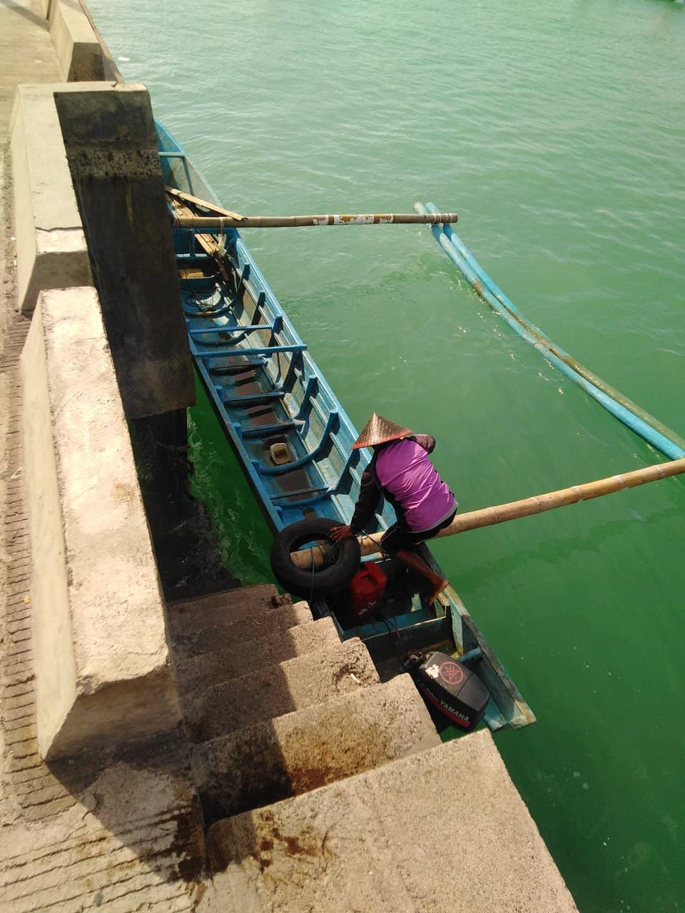 Affordable Seafood Feast