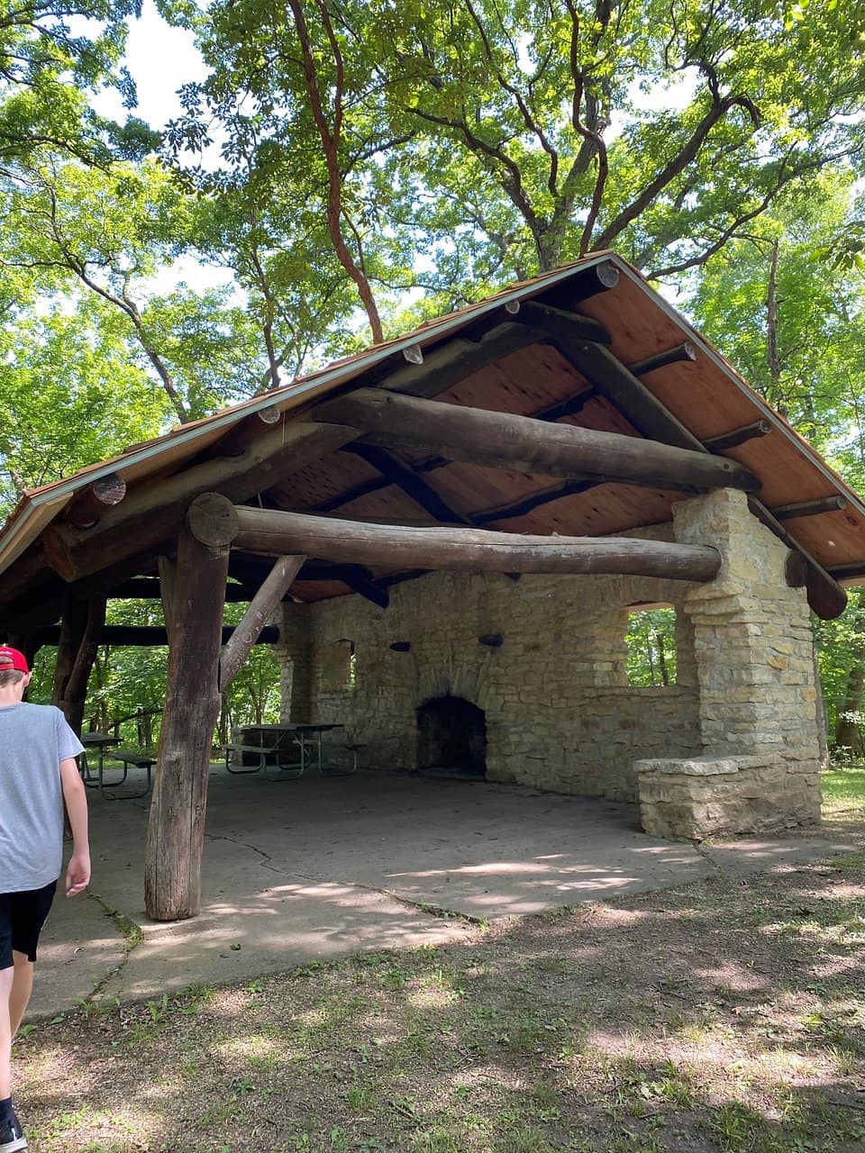 Oldest Oak Tree