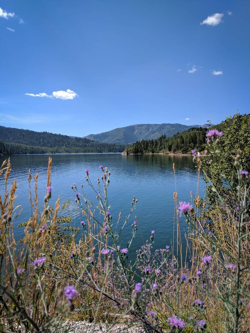Boating and Paddleboarding